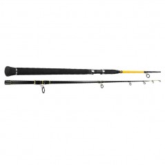 DS - UNBREAKABLE BOAT ROD 2.70M / 20-120G