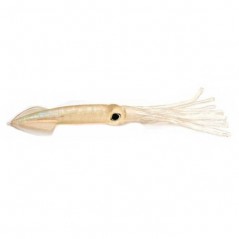 BEHR THE REAL SQUID 20CM 4PCS -CLEAR PEARL