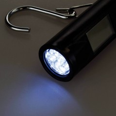 DS - FLASHLIIGHT - SCALE UP TO 50kg
