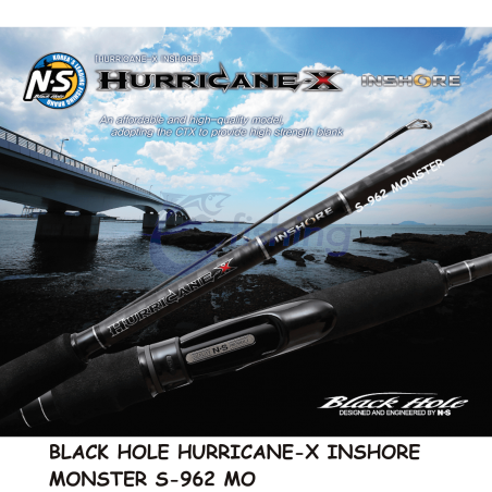 NS BLACK HOLE - HURRICANE-X INSHORE MONSTER 2.90m / 20-80g